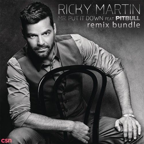 Mr. Put It Down (Remixes)