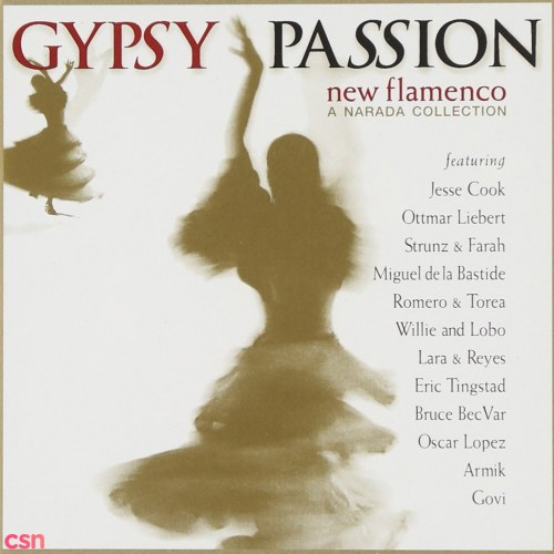 Gypsy Passion - New Flamenco