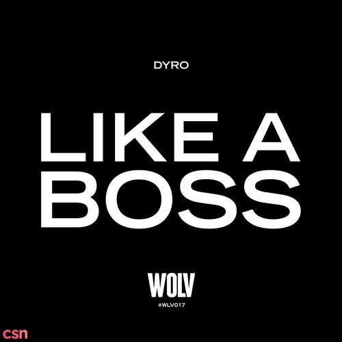 Like A Boss (Single)