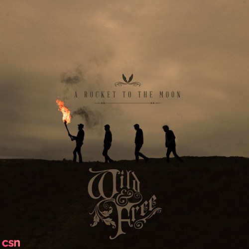 A Rocket To The Moon