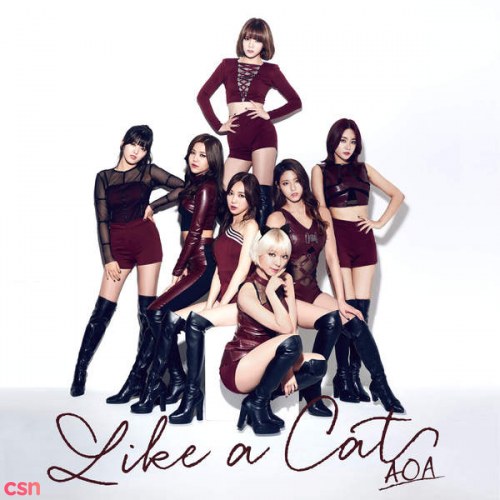 Like A Cat (Japanese Version)