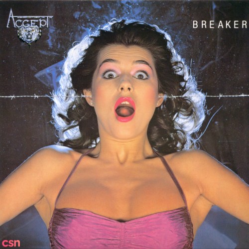 Breaker