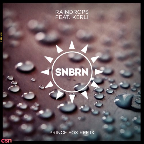 Raindrops (Prince Fox Remix) (Single)