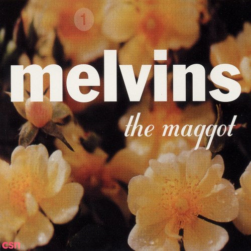 Melvins