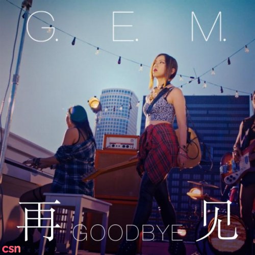 Goodbye (再见)