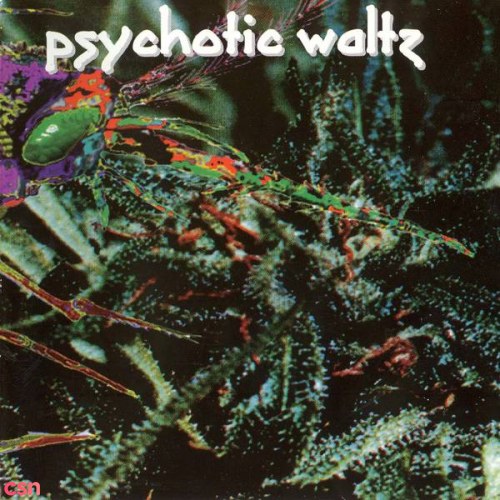 Psychotic Waltz