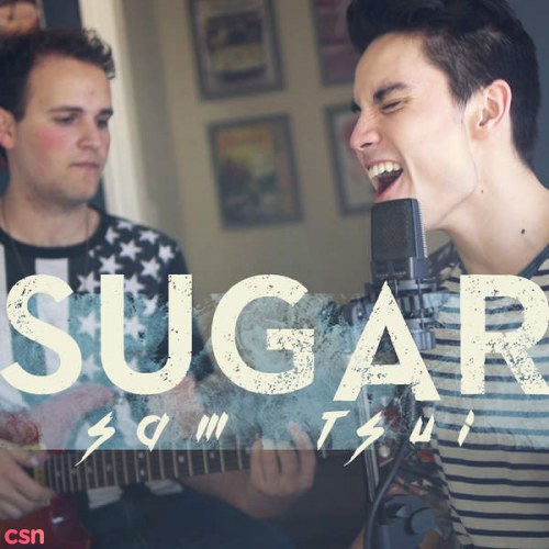 Sam Tsui