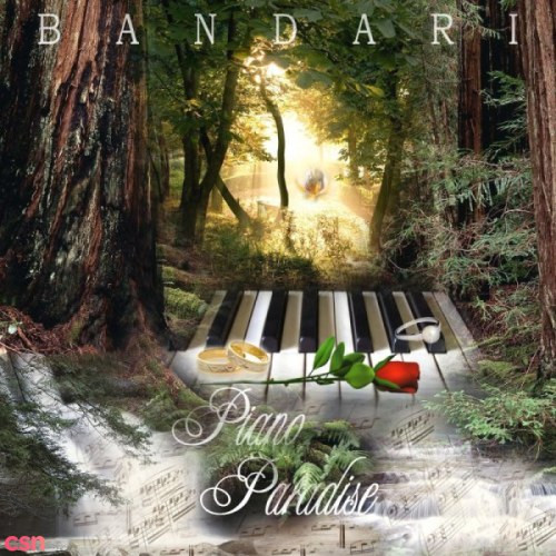 Piano Paradise