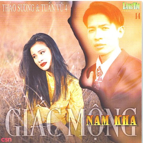 Giấc Mộng Nam Kha