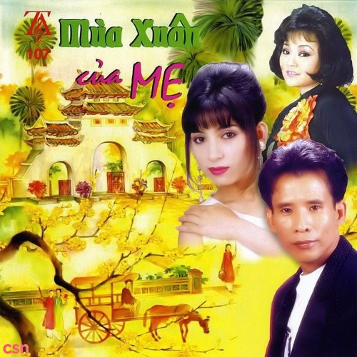 Mùa Xuân Của Mẹ