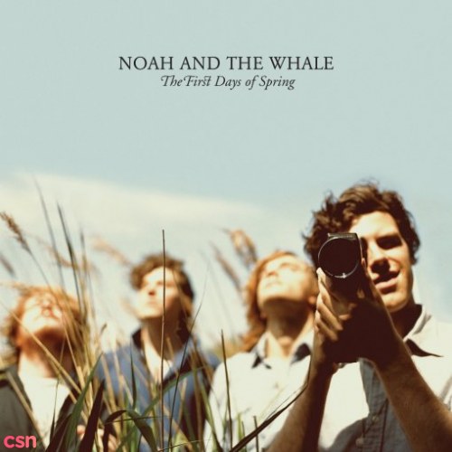 Noah And The Whale