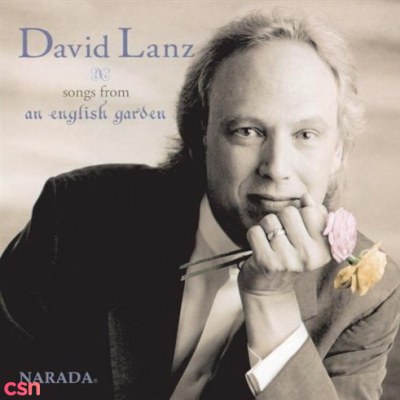 David Lanz