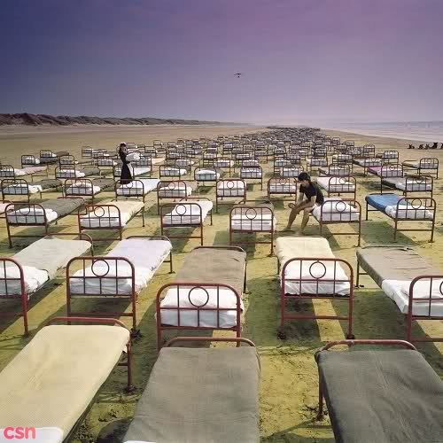 A Momentary Lapse Of Reason