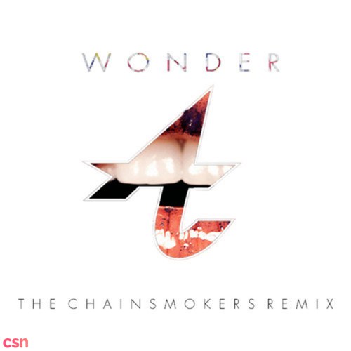 Wonder Remixes