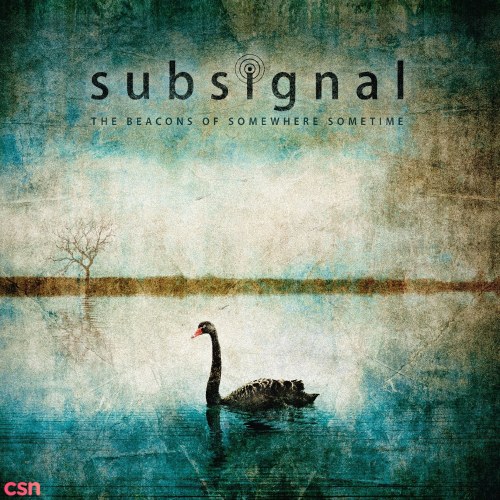 Subsignal