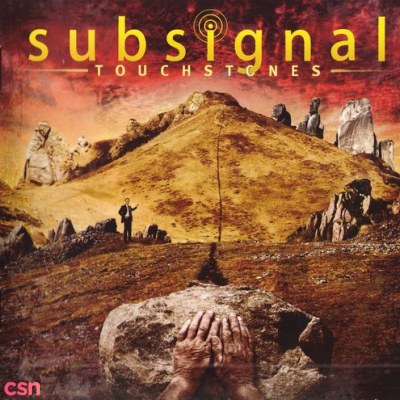 Subsignal