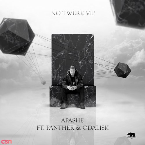 No Twerk VIP (Single)