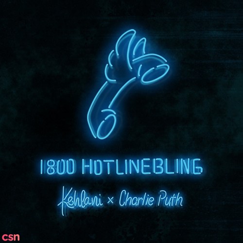 Hotline Bling (Cover Single)
