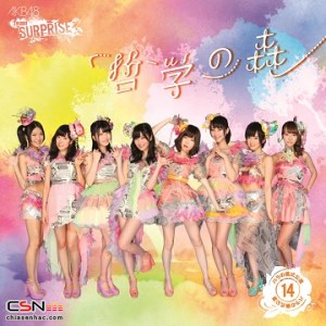 AKB48 " new" Team Surprise