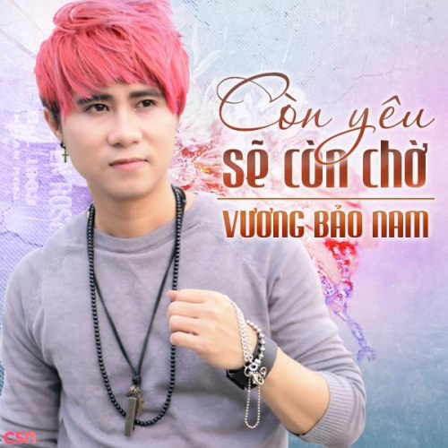 Vương Bảo Nam