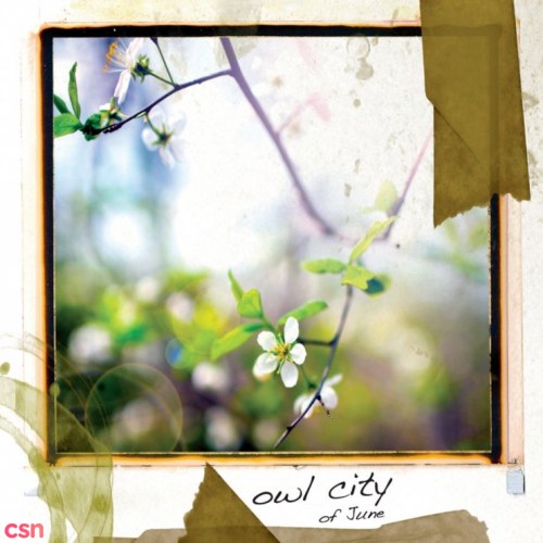 Owl City