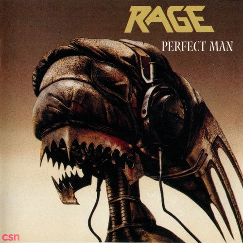 Perfect Man (Remastered)
