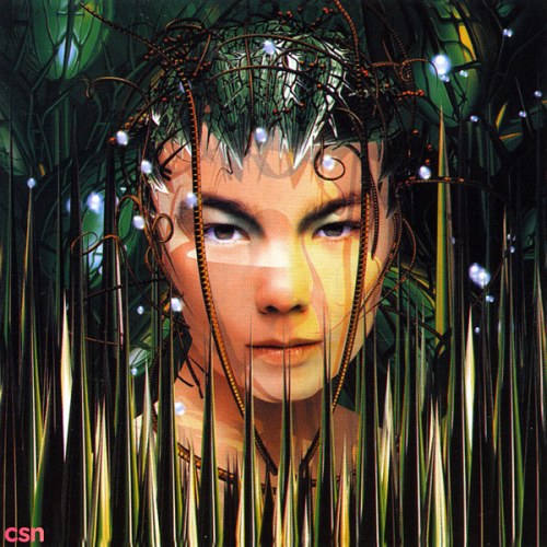 Björk