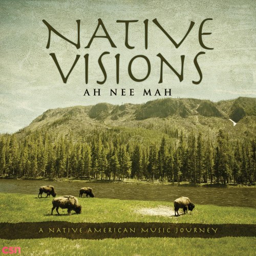 Native Visions (A Native American Journey)