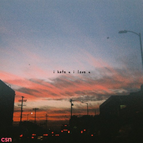 I Hate U I Love U (Single)