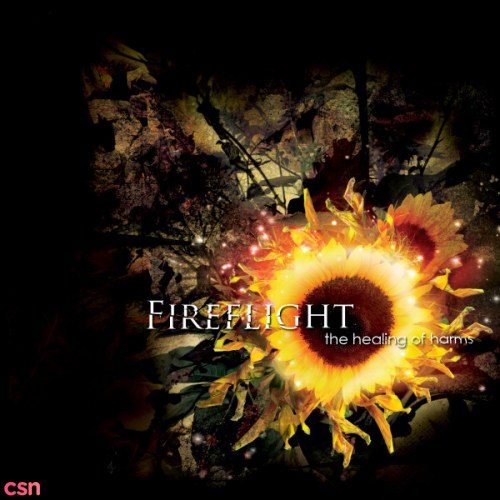 Fireflight