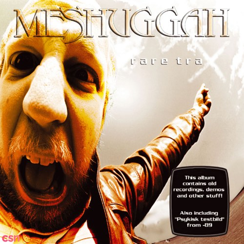 Meshuggah