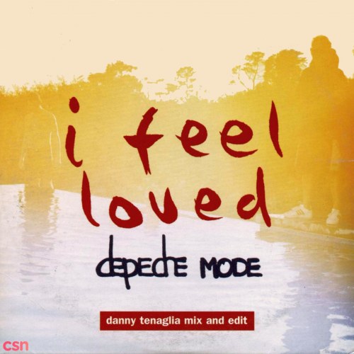 I Feel Loved [Danny Tenaglia Mix And Edit] (Single)