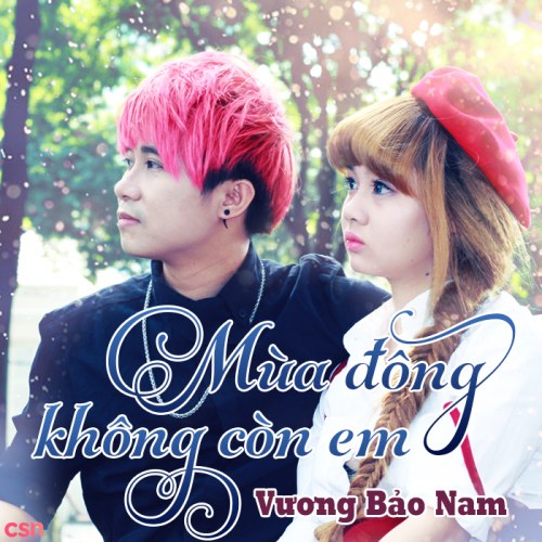 Vương Bảo Nam