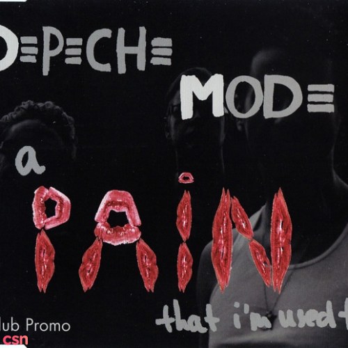 A Pain That I'm Used To (Club Promo) (Single)