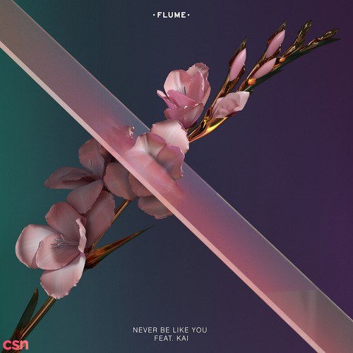 Flume