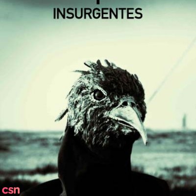 Insurgentes [DVD Bonus Audio Section]