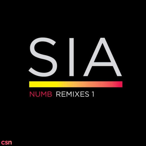 Numb (Paradise Soul Remix) [Promo Single]