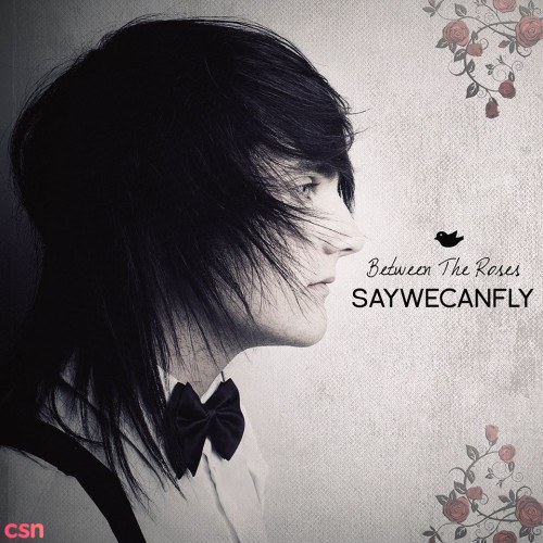 SayWeCanFly