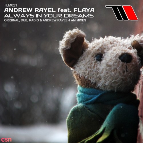 Andrew Rayel