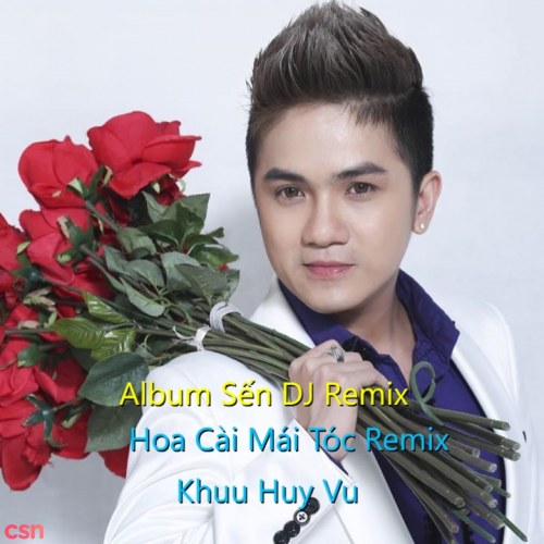Khuu Huy Vu