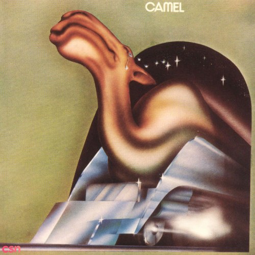 Camel