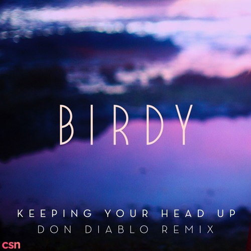 Keeping Your Head Up (Remix Single)