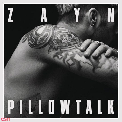 Pillowtalk (Single)