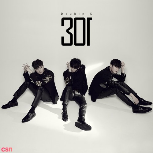 Double S 301