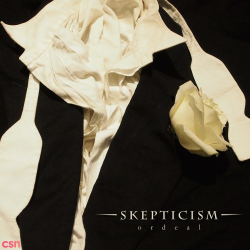 Skepticism