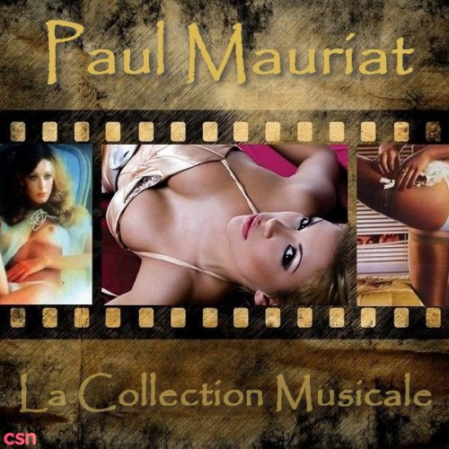 La Collection Musicale