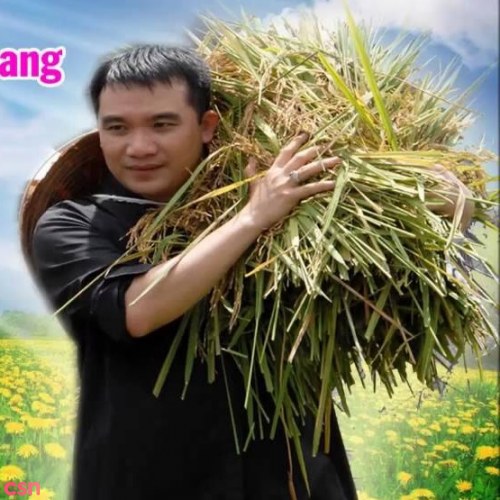 Lm,JB Nguyễn Sang