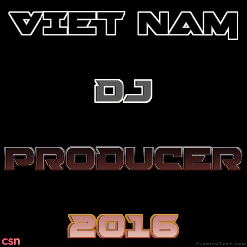 VN DJ Producer