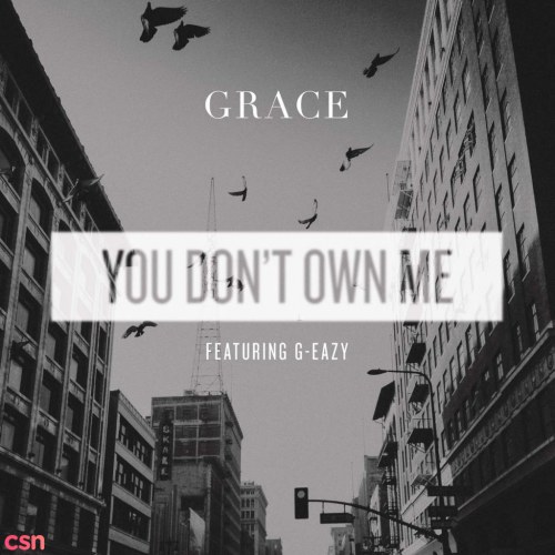 You Don't Own Me (Single)
