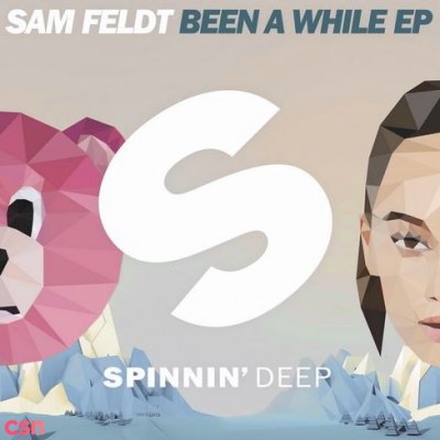 Sam Feldt